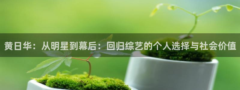 天辰娱乐游戏官网平台：黄日华：从明星到幕后：回归综艺的个人选择与社会价值