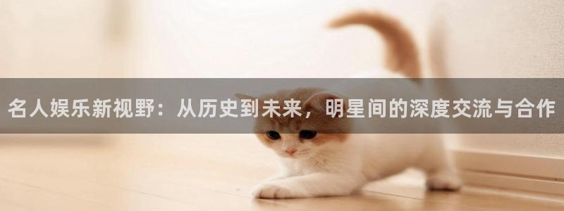 天辰娱乐游戏试玩：名人娱乐新视野：从历史到未来，明星间的深度交流与合作